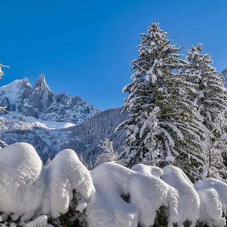 Chalet Black Wood Chamonix